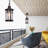 12.4'' Hardwired Outdoor Hanging Light