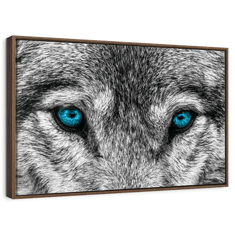 Cool Wolf, Floating Frame Walnut, 40" X 27"