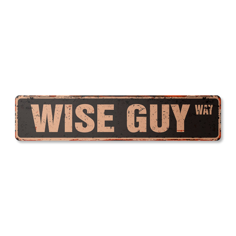 Plaque de rue Wise Guy en plastique robuste 6 po x 24 po