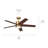 Bhram 48'' Ceiling Fan with LED Lights
