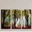 Majestic Morning - 3 Piece Print on Canvas-1270827280