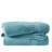 800 GSM Aqua 100% Cotton 2-Piece 34x68'' Bath Sheet Set-106238762