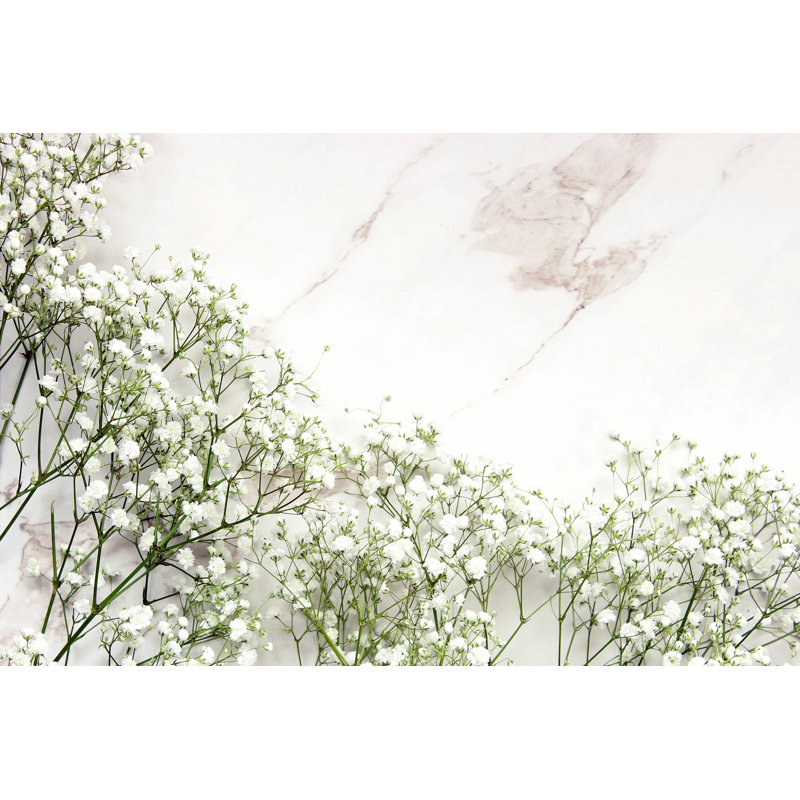 Baby's Breath by MichellePatrickPhotographyLLC - Wrapped Canvas Print, 30cm H x 46cm W