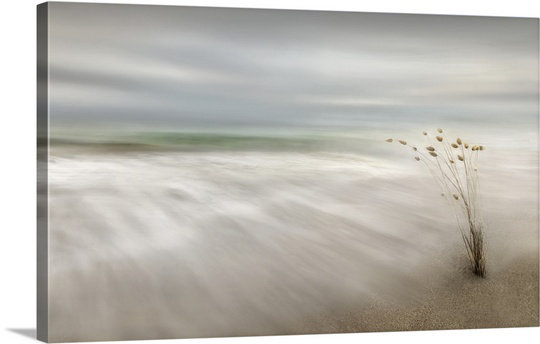 «Straub Ears in the Sea» par Fran Osuna - reproduction imprimée, H 30 po x l 48 po x P 1,5 po, Toile