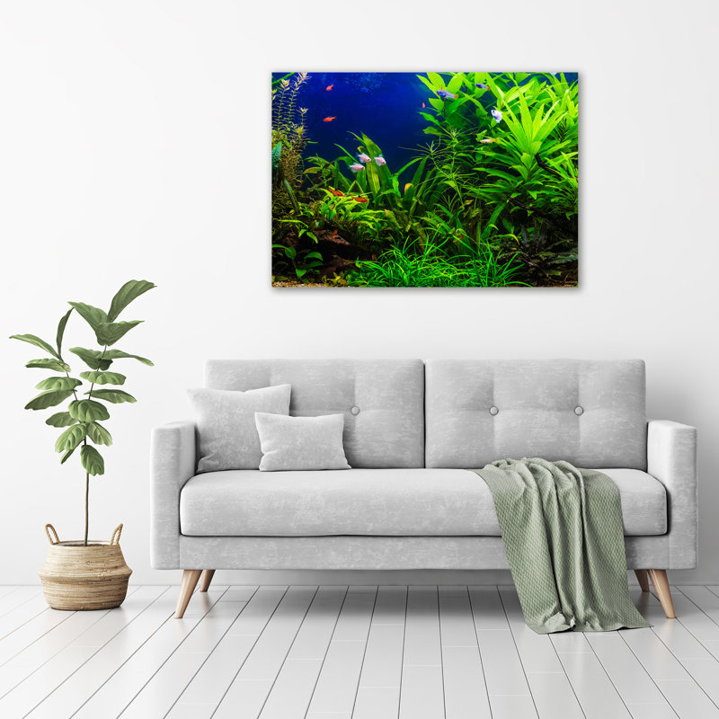 Fish in the Aquarium - Unframed Art Prints on Glass