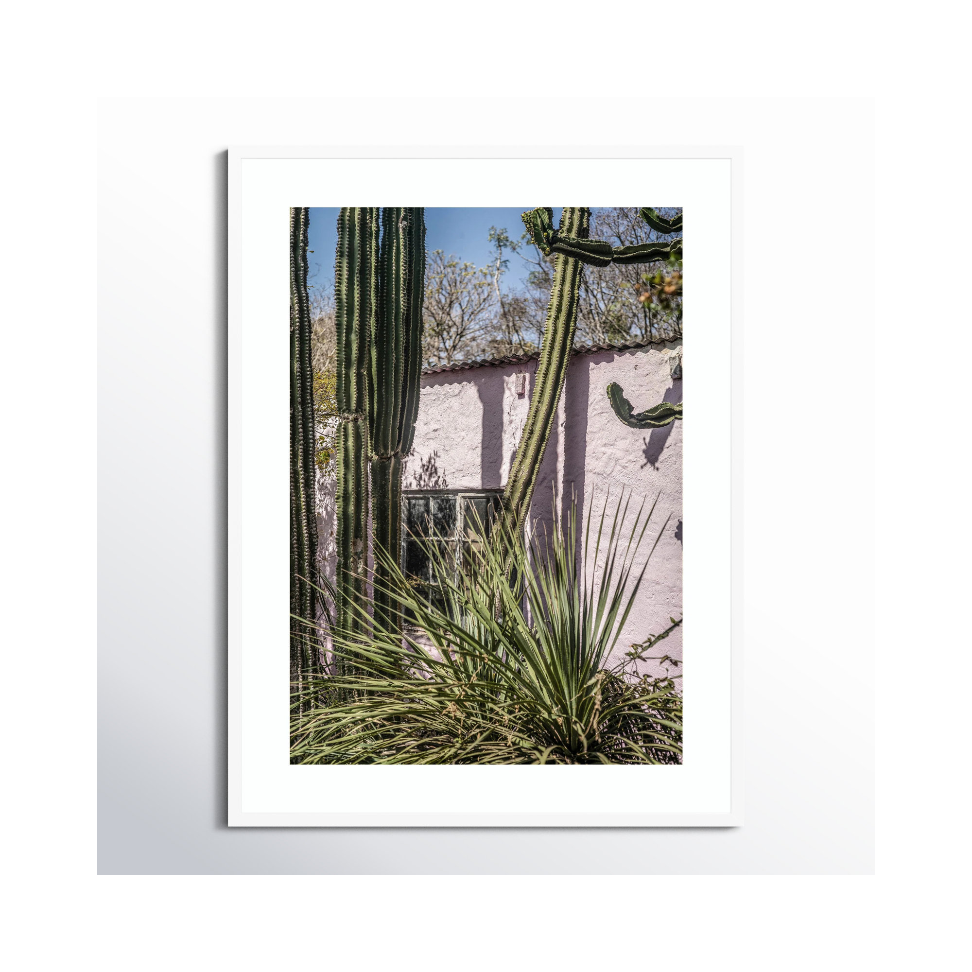 Plants On Pink by Shot by Clint Wood Framed Wall Art Print, White, 41" H x 31" W
