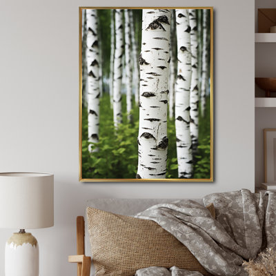 White Green Birch Tree Whispers III - Tree Birch Large Wall Art