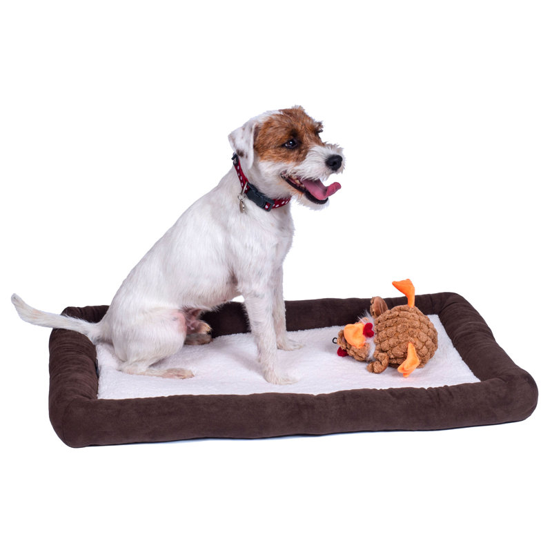 Sams Orthopedic Pet Bed, Medium (83cm W x 51cm D x 7cm H)
