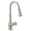 Paterson Smart Faucet Touchless Pull-Down Sprayer Kitchen Faucet with Voice and Motion Control