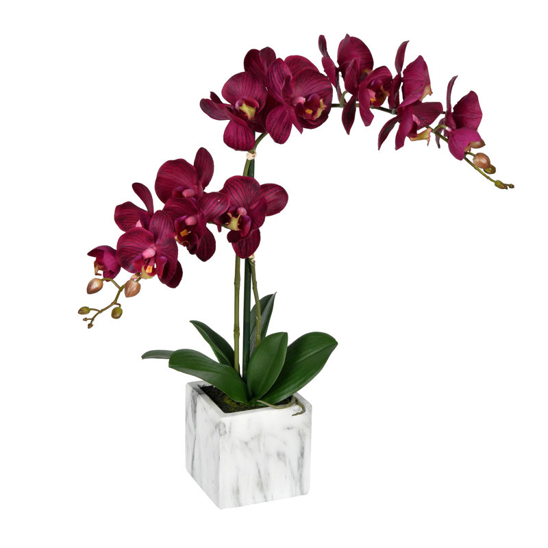 Phalaenopsis artificiel en pot 22 po Karelis, Mauve foncé