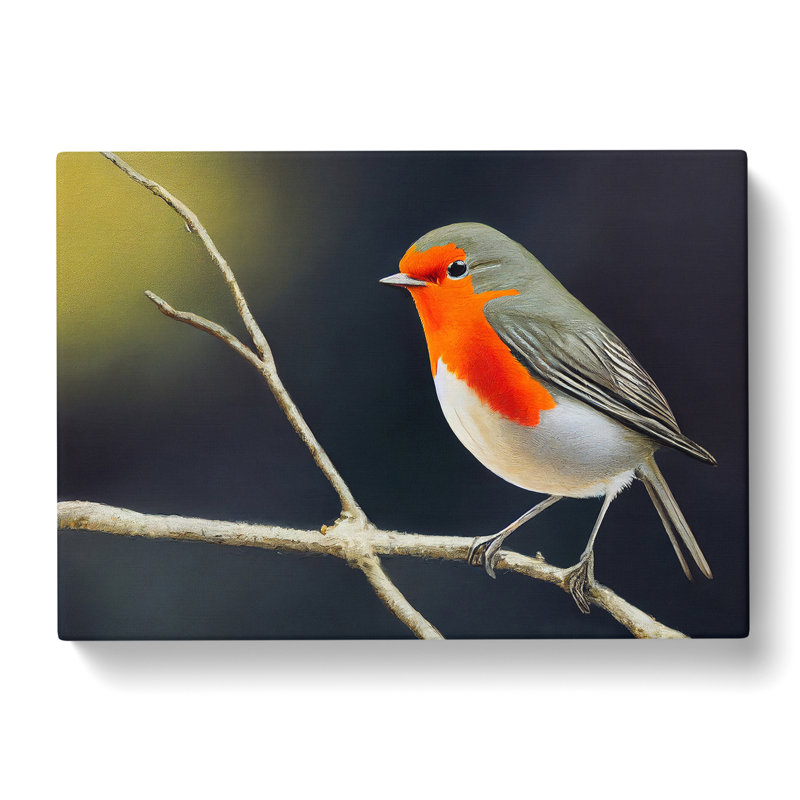 Effervescent Robin Bird - Wrapped Canvas Print, 35cm H x 50cm W x 3cm D