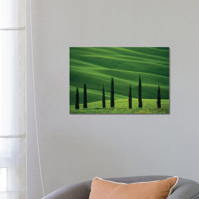 Europe, Italy, Tuscany, Val D' Orcia. Cypress Trees And Wheat Field. by Jaynes Gallery - Wrapped Canvas Print