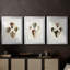Sowerby Shells I - Impression personnalisée de qualité supérieure avec cadre mat - 3 pièces-410746895-410746887