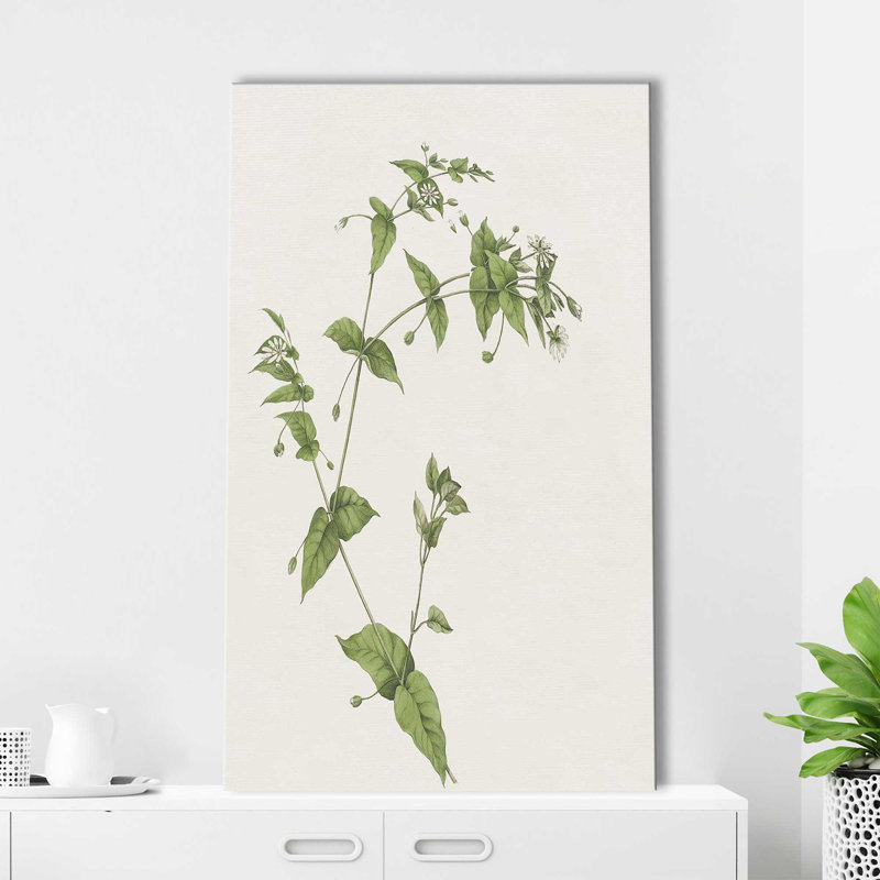 Wispy Botanical I by Kelly Donovan - Painting on Canvas, 30" H x 18" W x 1" D, Wrapped Canvas