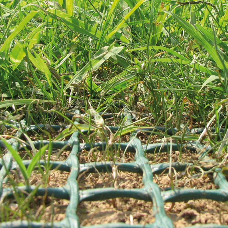 4 Ft. H x 1200 Ft. W Plastic Fencing