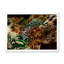 Leopard And Tiger VII - Modern Framed Wall Decor-977988860-977988857