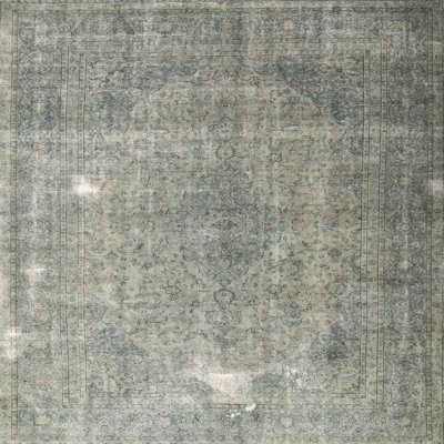 Oriental Indoor Rug