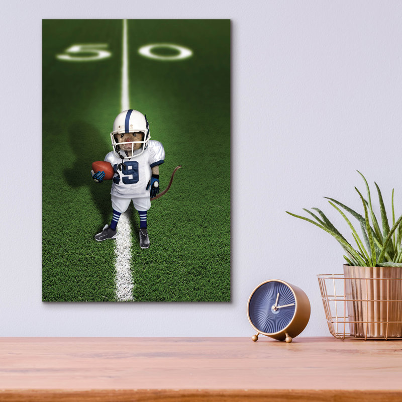  «Football Mouse» par John Hovenstine, art mural en verre acrylique, 12 po x 16 po