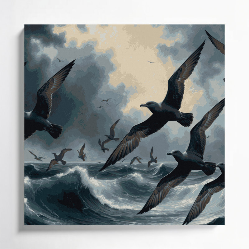 «Birds Sooty Shearwater», art mural sur toile, H 12 po x l 12 po