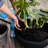 Dorlis Handmade Pot Planter-406649458-406649354