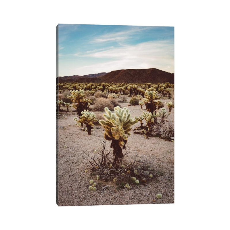 Cholla Cactus Garden III 1 Piece Wall Art on Canvas, 101.6cm H x 66.04cm W x 1.91cm D, Wrapped Canvas