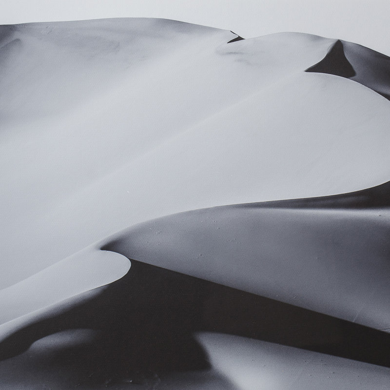 Black/Gray Dune Print