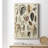 Seashell Display " Seashell Display "-37453445