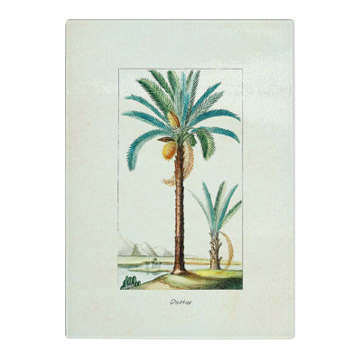 Tempered Glass Illustration of a Date Palm Tree Chopping Board