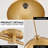 2-Lamp Gold Adjustable Iron Pendant Light
