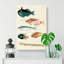 East Indies Fish Illustrations Fol. 18 by Louis Renard - Wrapped Canvas-55342782
