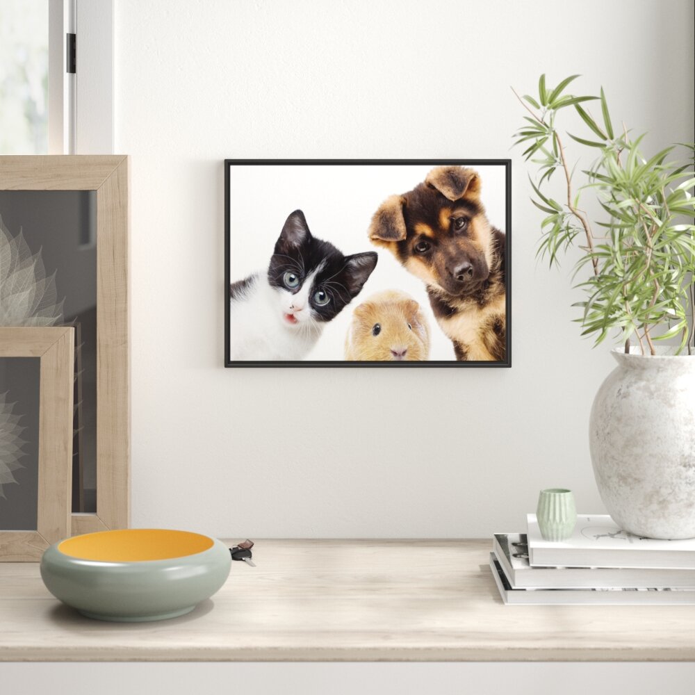 Gerahmtes Wandbild Trio Hund Katze Meerschwein