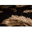 Hand Woven Silk and Wool Floral Area Rug-52394475
