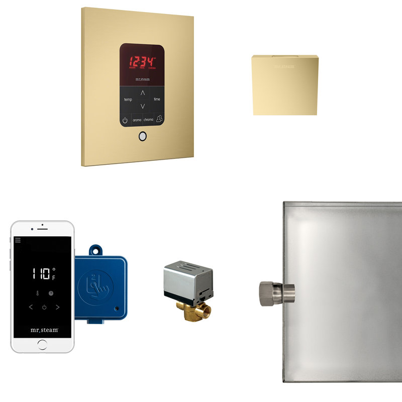 Residential Steam Generator Control, Satin Brass