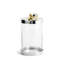 Anemone Canisters-61457753