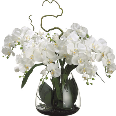 Orchid Arrangement in Vase