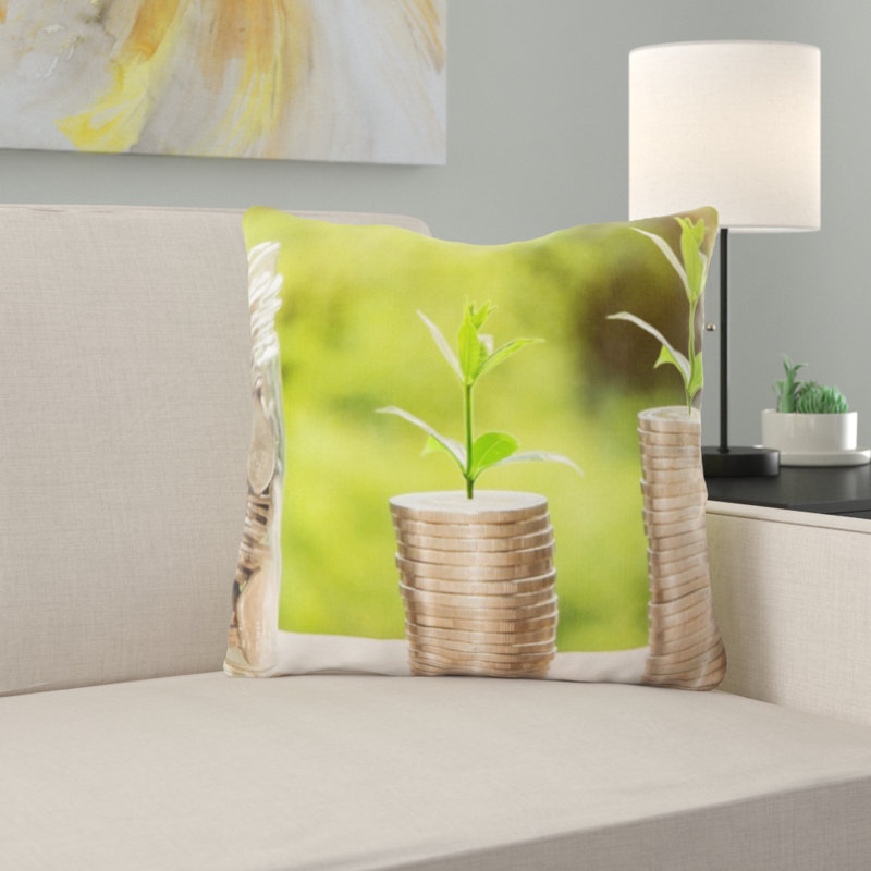 Coussin monétaire
