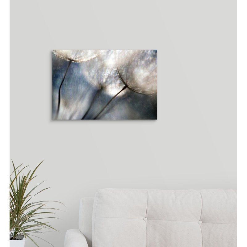 " Carefree " by Ursula Abresch, 12" H x 18" W x 1.5" D