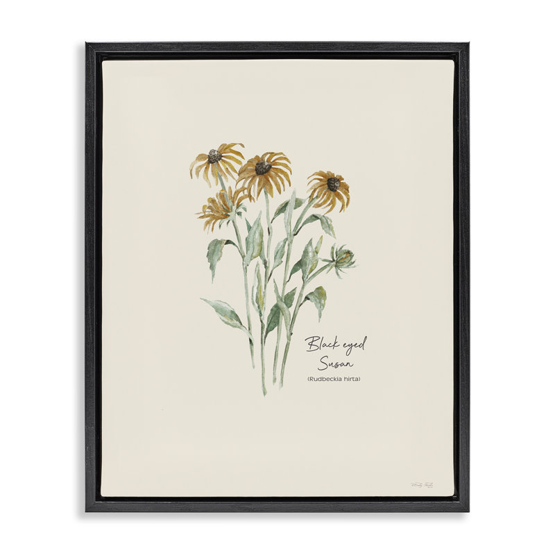 «Black Eyed Susans» par Cindy Jacobs, Cadre flottant noir de jais, H 21 po x l 17 po