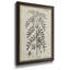 Antique Black & White Botanical IX - Peinture sur toile encadrée-413412649