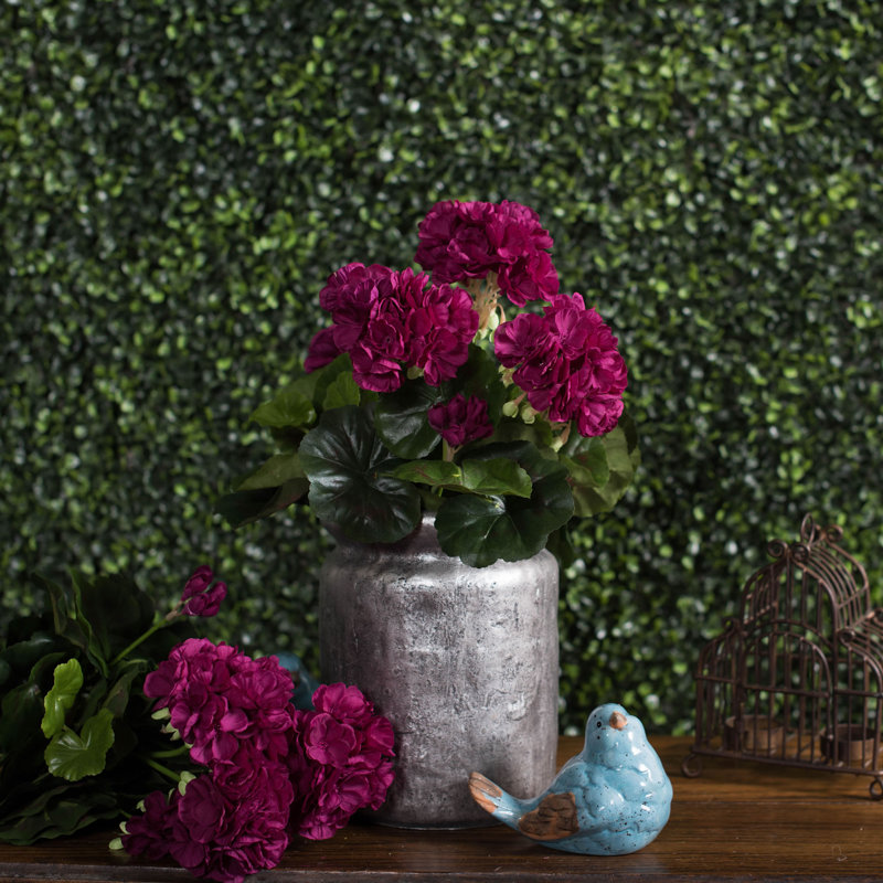 Faux buisson de géranium, Mauve