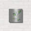 «Eucalyptus On Sand» par Linda Woods-713739057