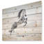 Photographie d'un cheval blanc au galop-35105328-35105345