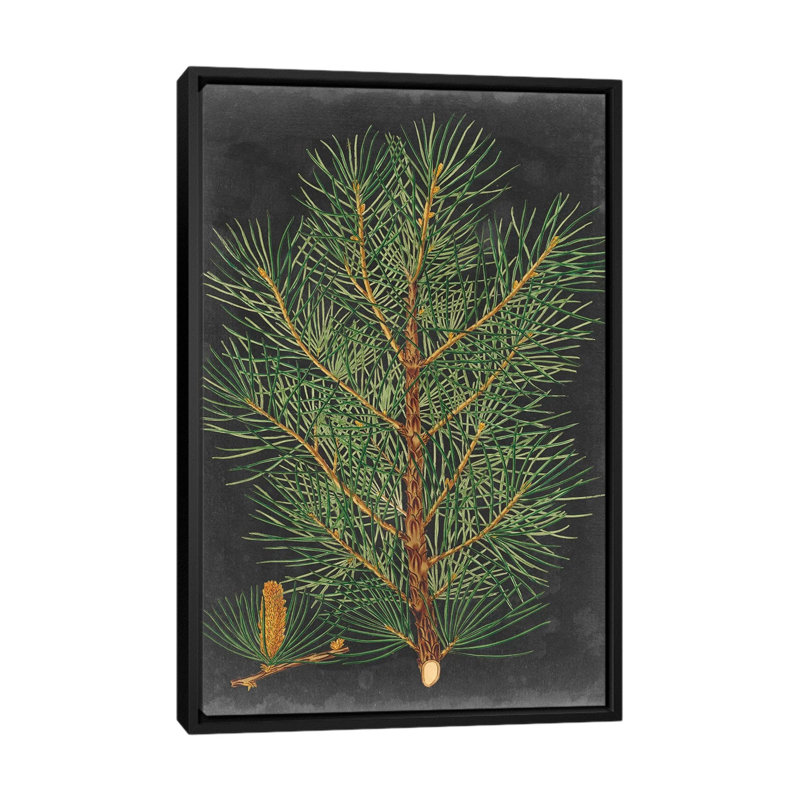 «Dramatic Pine II», impression sur toile, H 26 po x l 18 po x P 1,5 po, Toile avec cadre noir, Pas de tapis