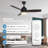 Demy 48'' Ceiling Fan with LED Lights and Remote Control 3-Blades