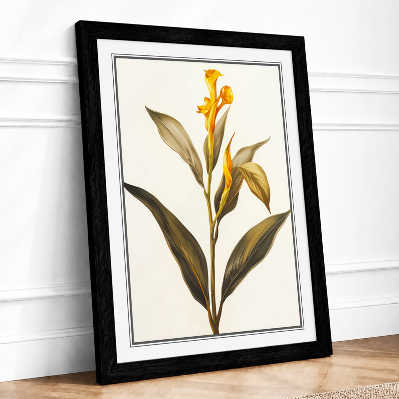Golden Daffodil Study Botanical - Framed Print, A4 - 29.7 x 21.0 cm, Black