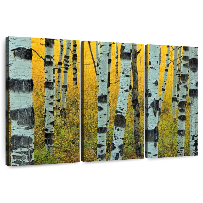 Harnek Abstract Aspen Tree, 36" H x 57" W