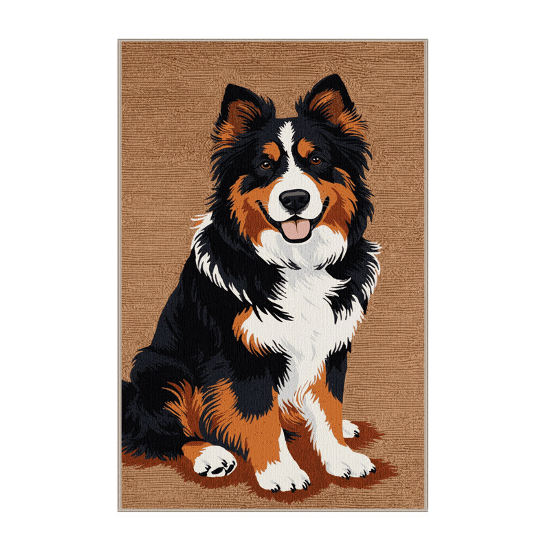  Tapis lavable pour bouvier bernois, Rectangulaire 8 pi x 12 pi