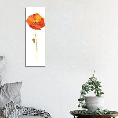 Poppy Pop II by Nan - Wrapped Canvas Panoramic Print