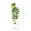 Arbre de figuier artificiel de 5,2 pi 5,2 pi avec pot blanc décoratif, plante d'intérieur fausse touche réelle pour la décoration de coin de bureau à domicile, 1pc / ensemble