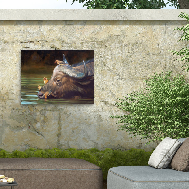 Toile d'extérieur David Stribble Buffalo And Oxpeckers, H 14 po x l 19 po